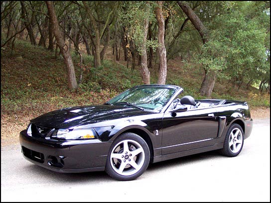 Ford Mustang Cobra SVT Convertible 2003