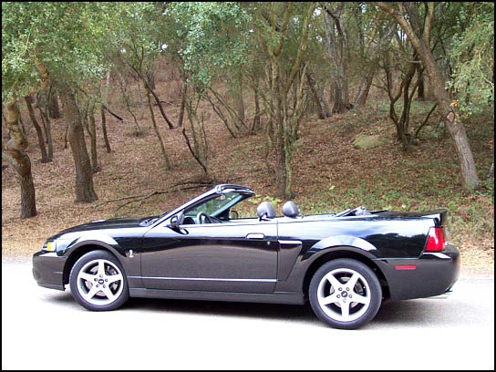 Ford Mustang Cobra SVT Convertible 2003