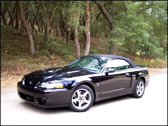 Ford Mustang Cobra SVT Convertible 2003