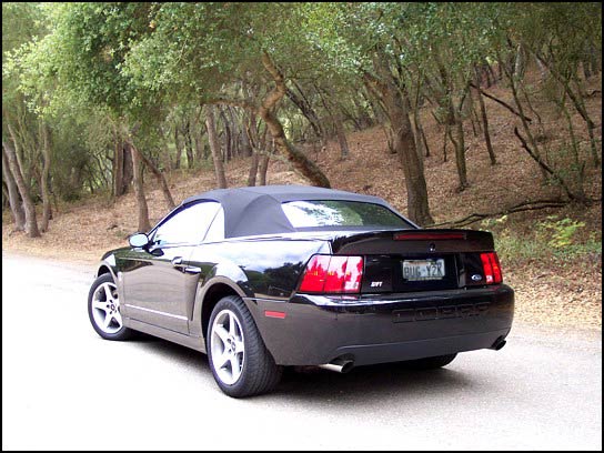 Ford Mustang Cobra SVT Convertible 2003